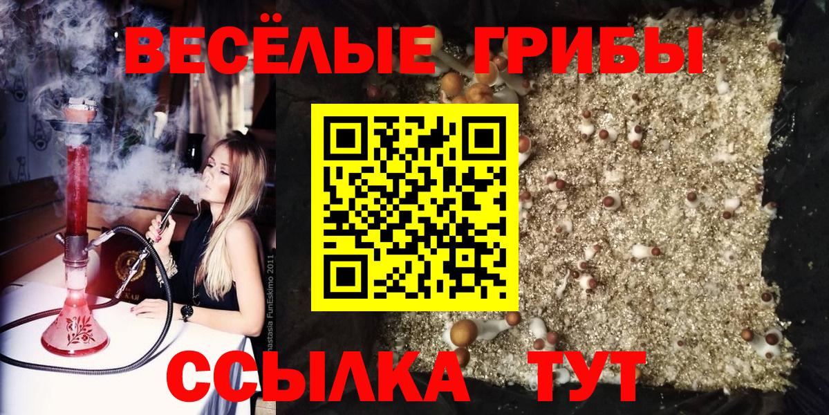 Кашира  Галлюциногенные грибы мицелий  Псилоцибиновые грибы MAGIC MUSHROOMS  Вход с VPN 
